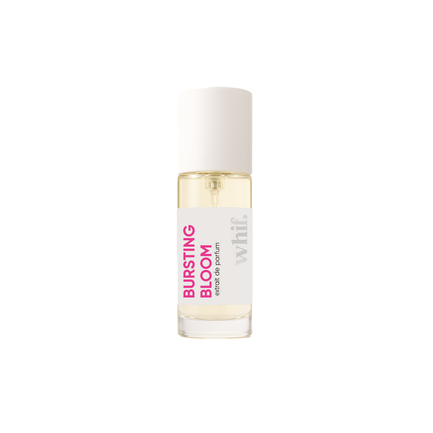 Bursting Bloom - FREE GIFT