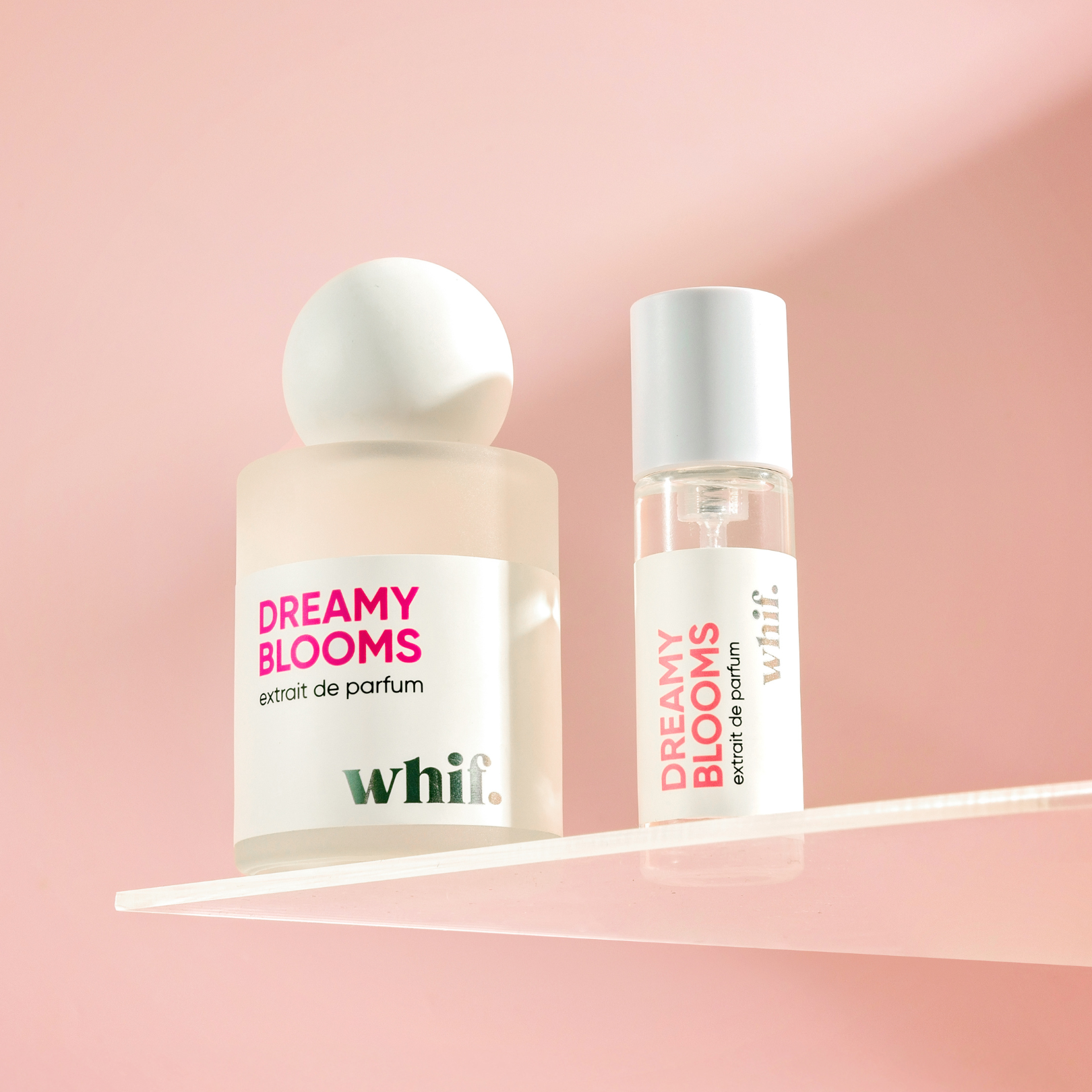 Dreamy Blooms