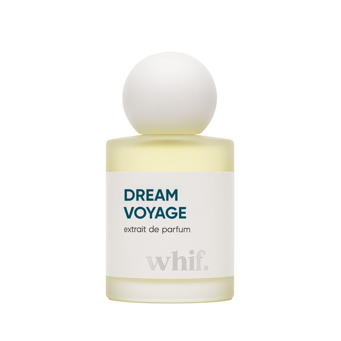 Dream Voyage alternate view