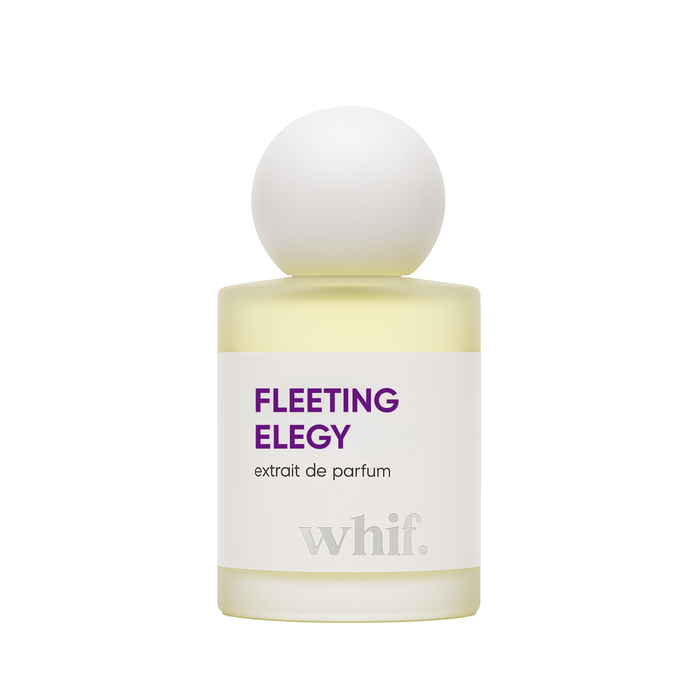 Fleeting Elegy alternate view