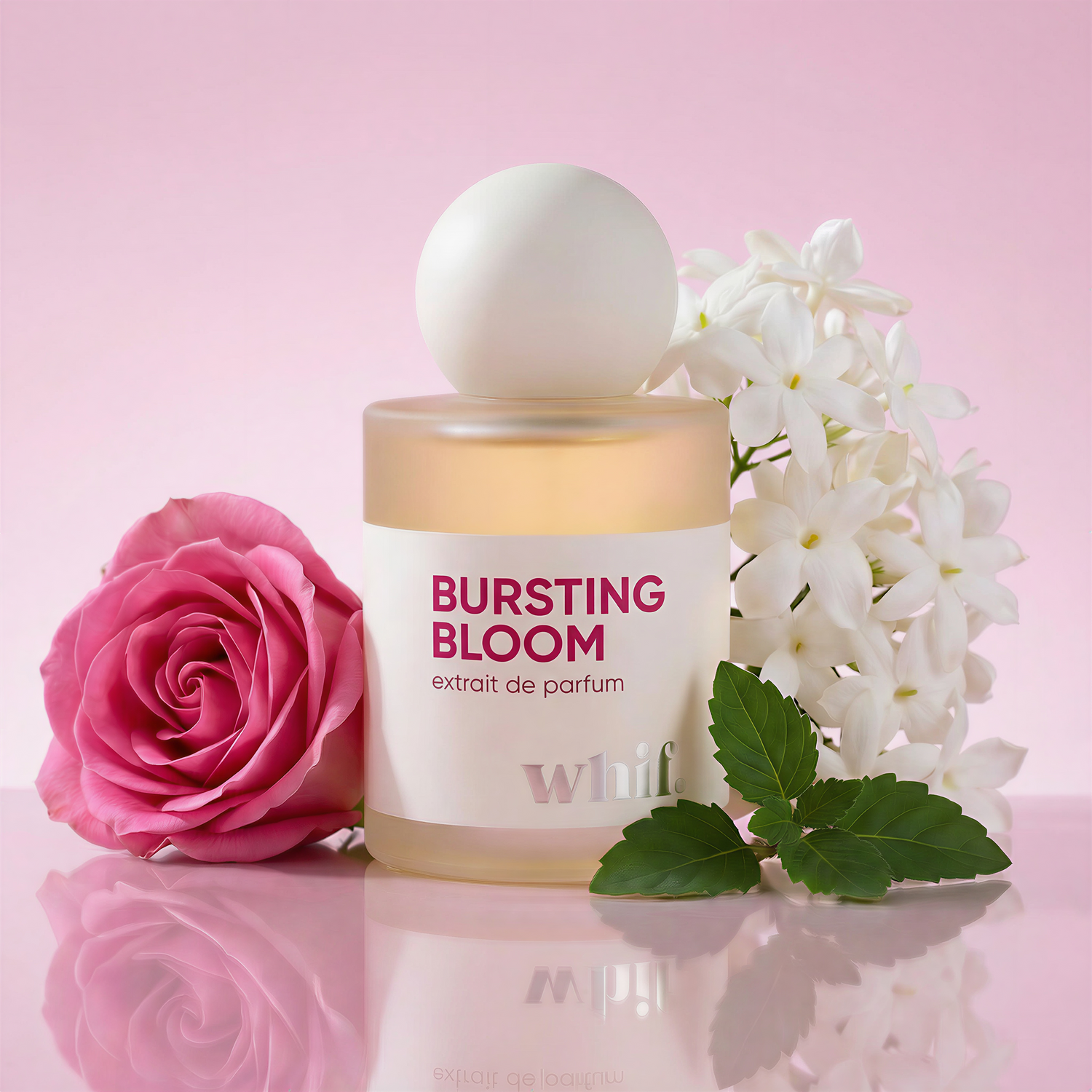 Bursting Bloom