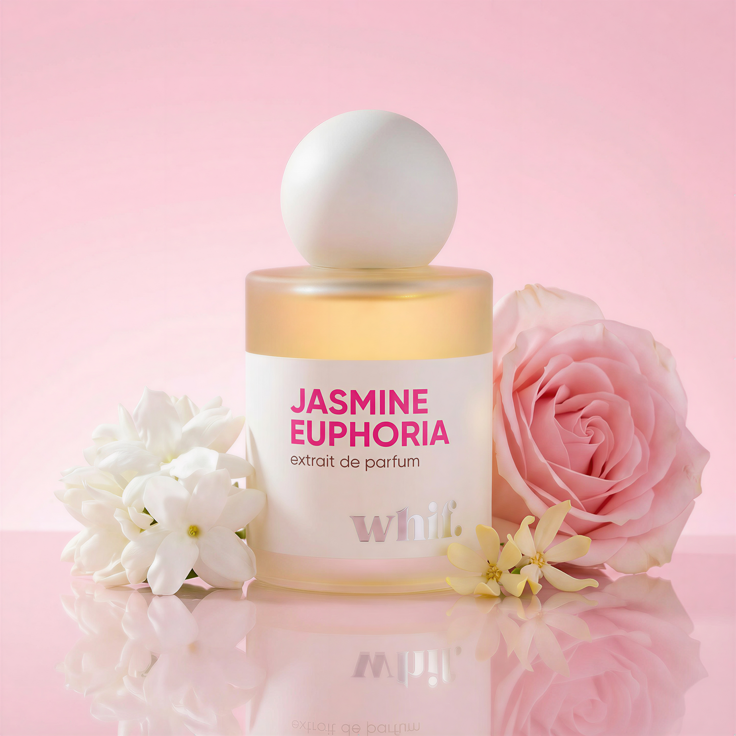 Jasmine Euphoria